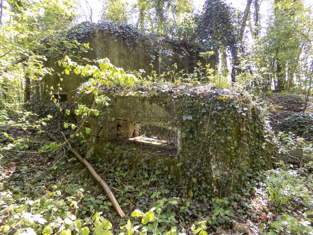 Ligne Maginot - 82BIS - LA NIVRAGNE NORD - (Blockhaus pour canon) - Face gauche/l'arrière et mur externe avec créneau Hotchkiss - R Tucker