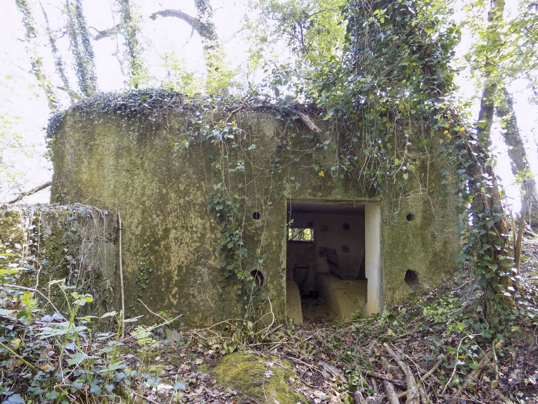 Ligne Maginot - 82BIS - LA NIVRAGNE NORD - (Blockhaus pour canon) - L'arrière, entrée AC - R Tucker