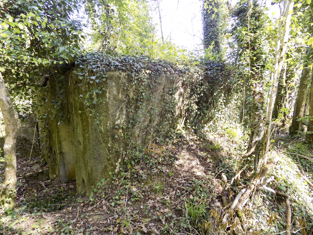 Ligne Maginot - 82BIS - LA NIVRAGNE NORD - (Blockhaus pour canon) - Face droite - R Tucker