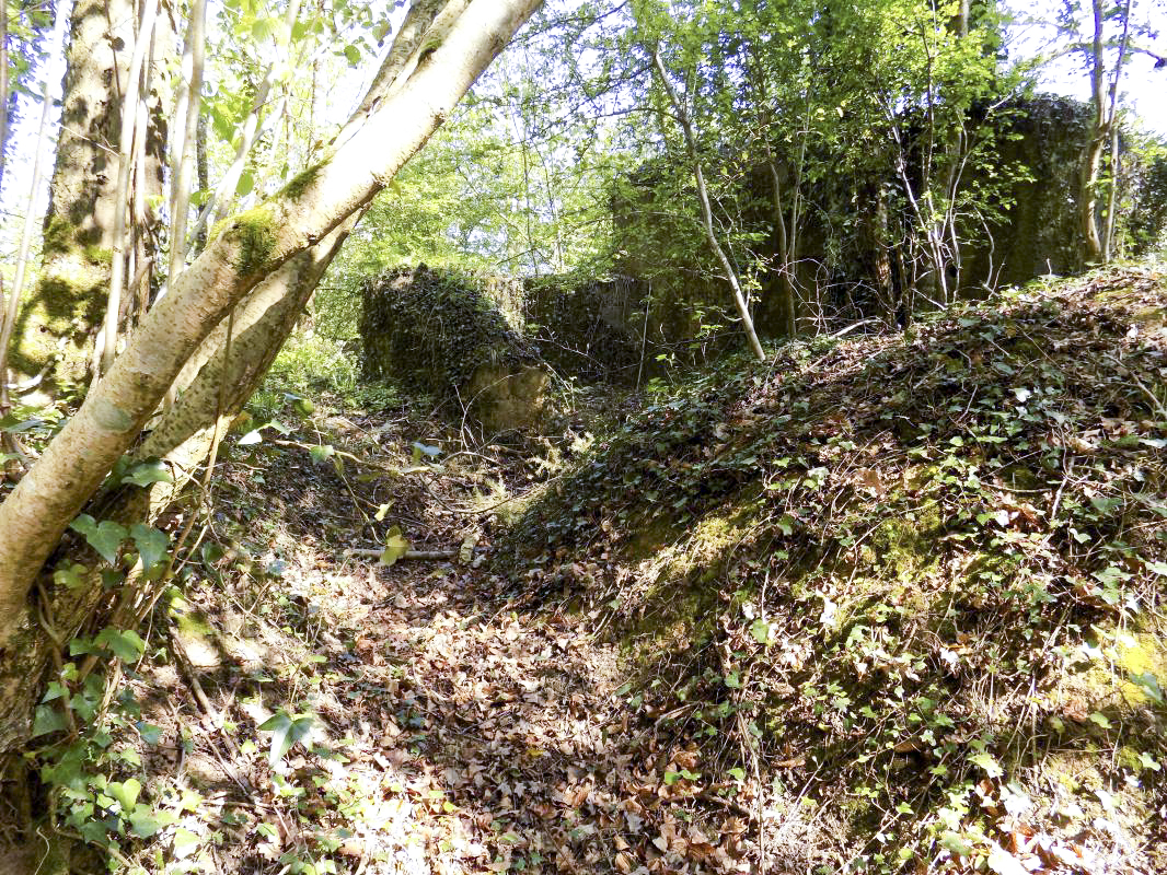Ligne Maginot - 82BIS - LA NIVRAGNE NORD - (Blockhaus pour canon) - L'arrière avec tranchée d'accès - R Tucker