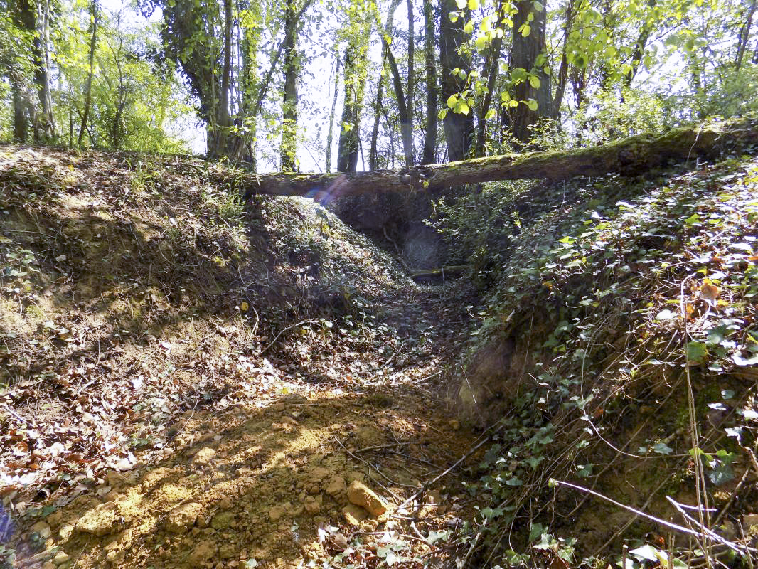 Ligne Maginot - 82BIS - LA NIVRAGNE NORD - (Blockhaus pour canon) - Tranchée d'accès - R Tucker