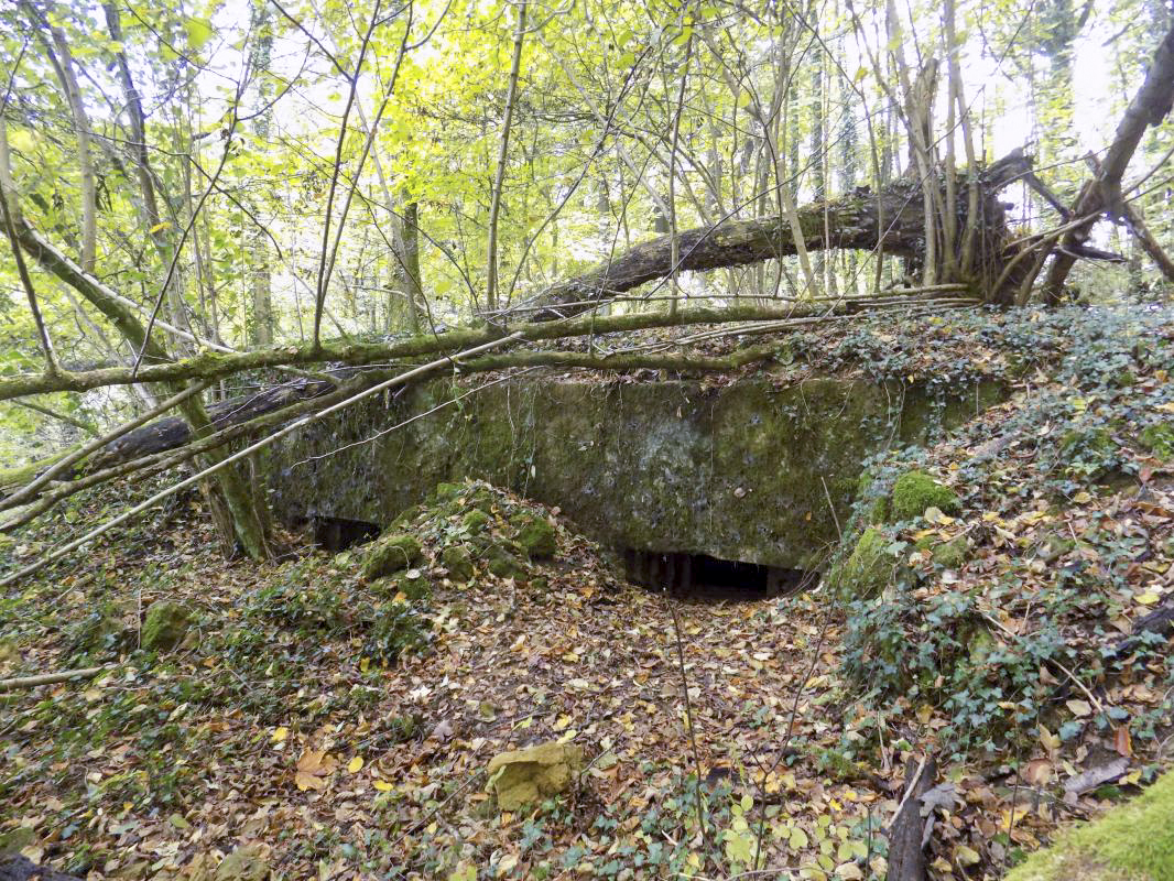 Ligne Maginot - 30A - COTE SAINT MARTIN - (Blockhaus pour canon) - Face frontale - R Tucker