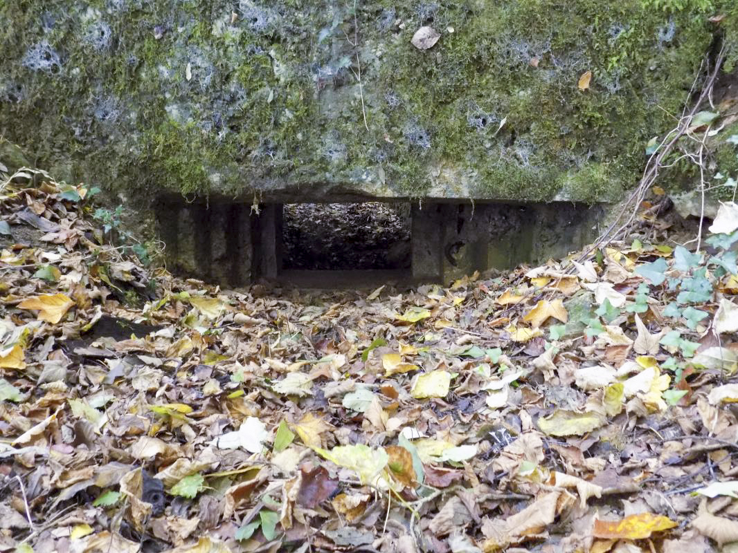 Ligne Maginot - 30A - COTE SAINT MARTIN - (Blockhaus pour canon) - Face frontale, créneau AC - R Tucker