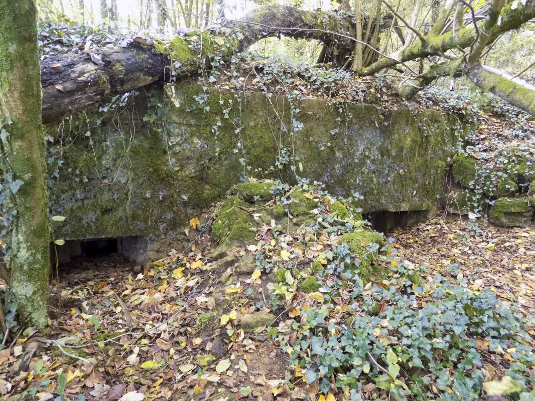 Ligne Maginot - 30A - COTE SAINT MARTIN - (Blockhaus pour canon) - Face frontale - R Tucker