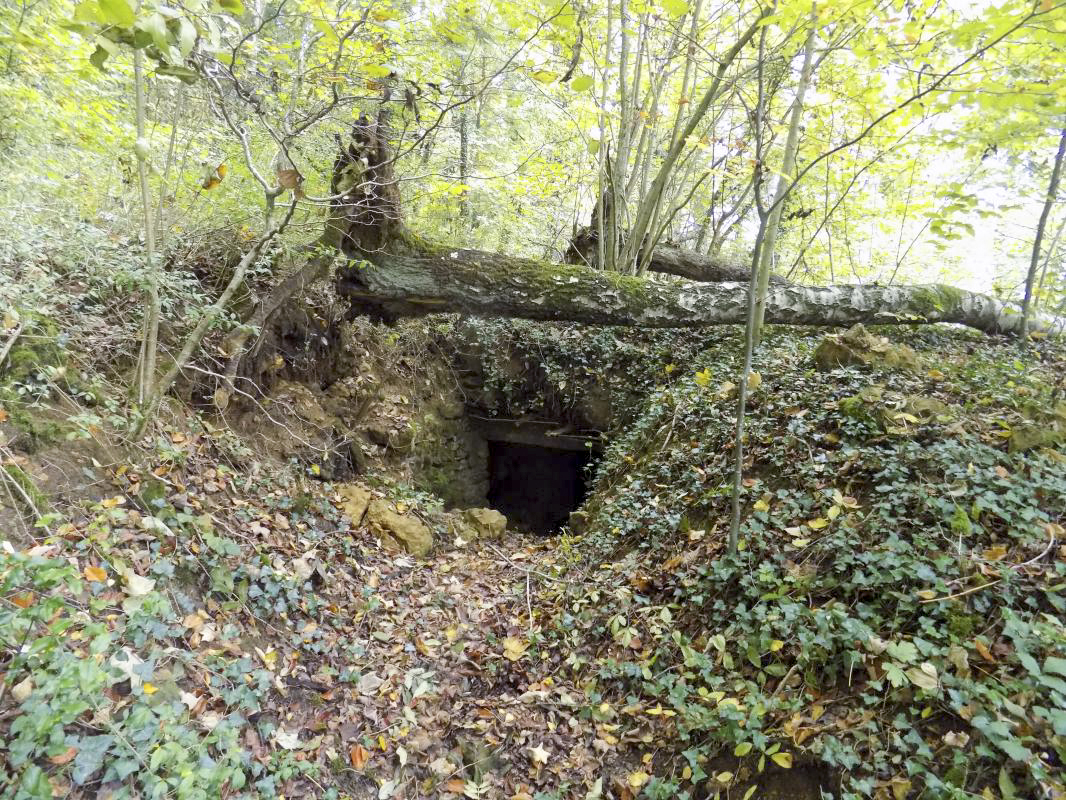 Ligne Maginot - 30A - COTE SAINT MARTIN - (Blockhaus pour canon) - Vers l'entrée - R Tucker