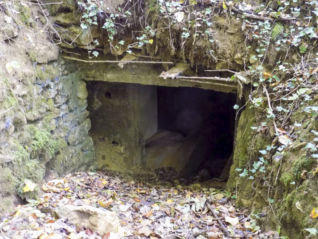 Ligne Maginot - 30A - COTE SAINT MARTIN - (Blockhaus pour canon) - L'entrée AC - R Tucker