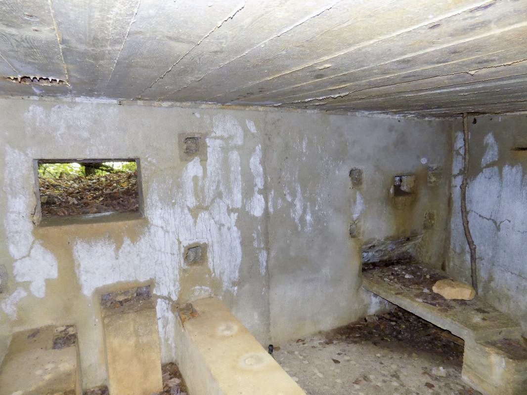 Ligne Maginot - 30A - COTE SAINT MARTIN - (Blockhaus pour canon) - Face frontale, créneaux AC et Hotchkiss - R Tucker