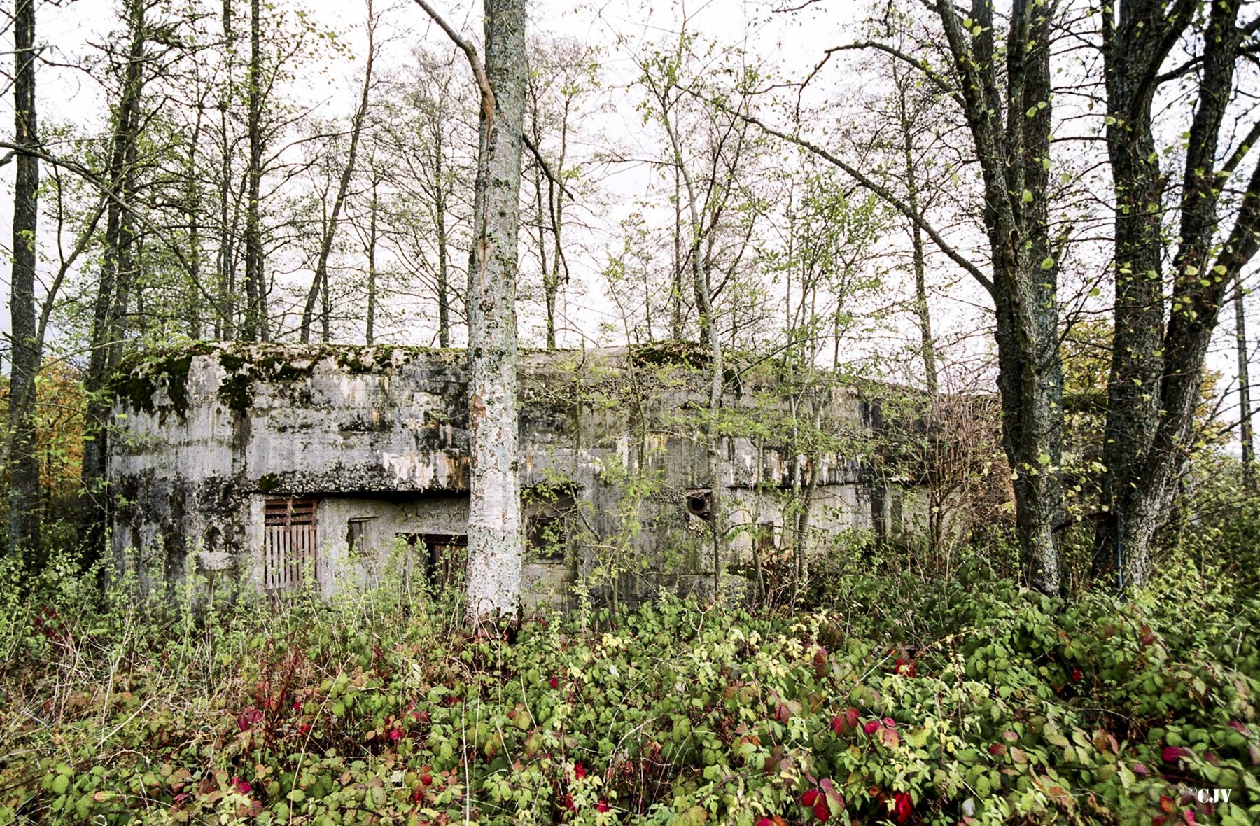 Ligne Maginot - CEZF-17 - LA MAISON DU GARDE - (Casemate d'infanterie - double) -  - Caspar Vermeulen