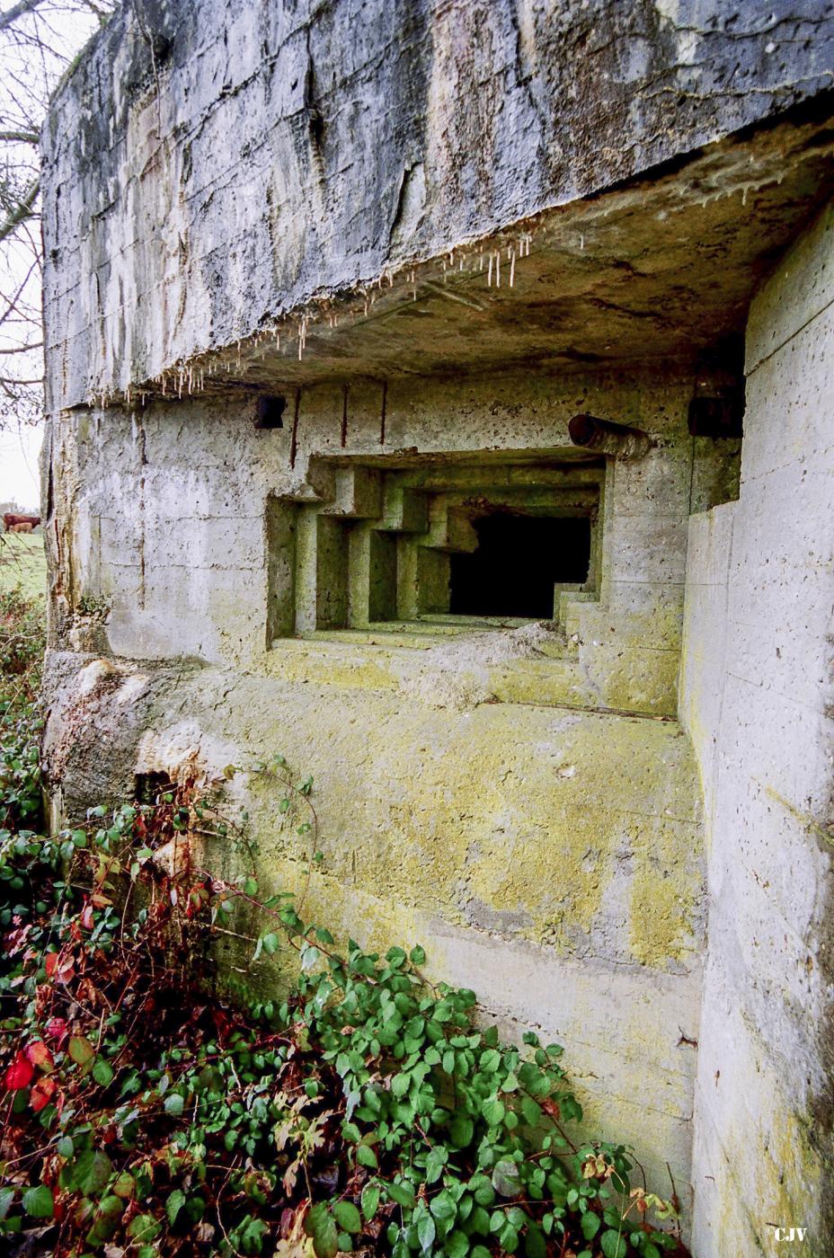 Ligne Maginot - CEZF-18 - LA CASSINE OUEST - (Casemate d'infanterie - double) -  - Caspar Vermeulen