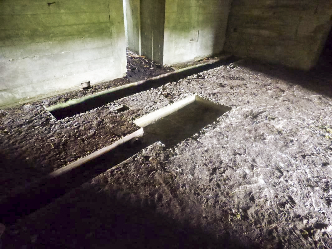 Ligne Maginot - CEZF-18 - LA CASSINE OUEST - (Casemate d'infanterie - double) -  - JMBrams