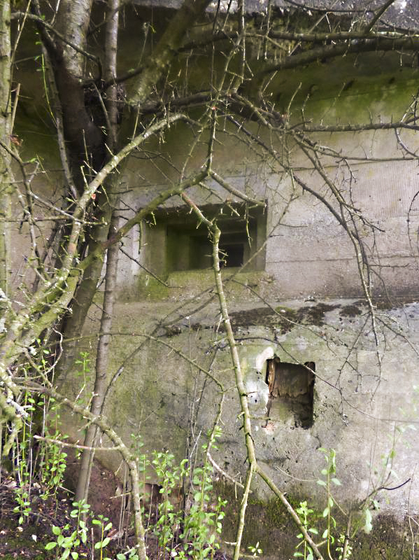 Ligne Maginot - CEZF-18 - LA CASSINE OUEST - (Casemate d'infanterie - double) -  - JMBrams