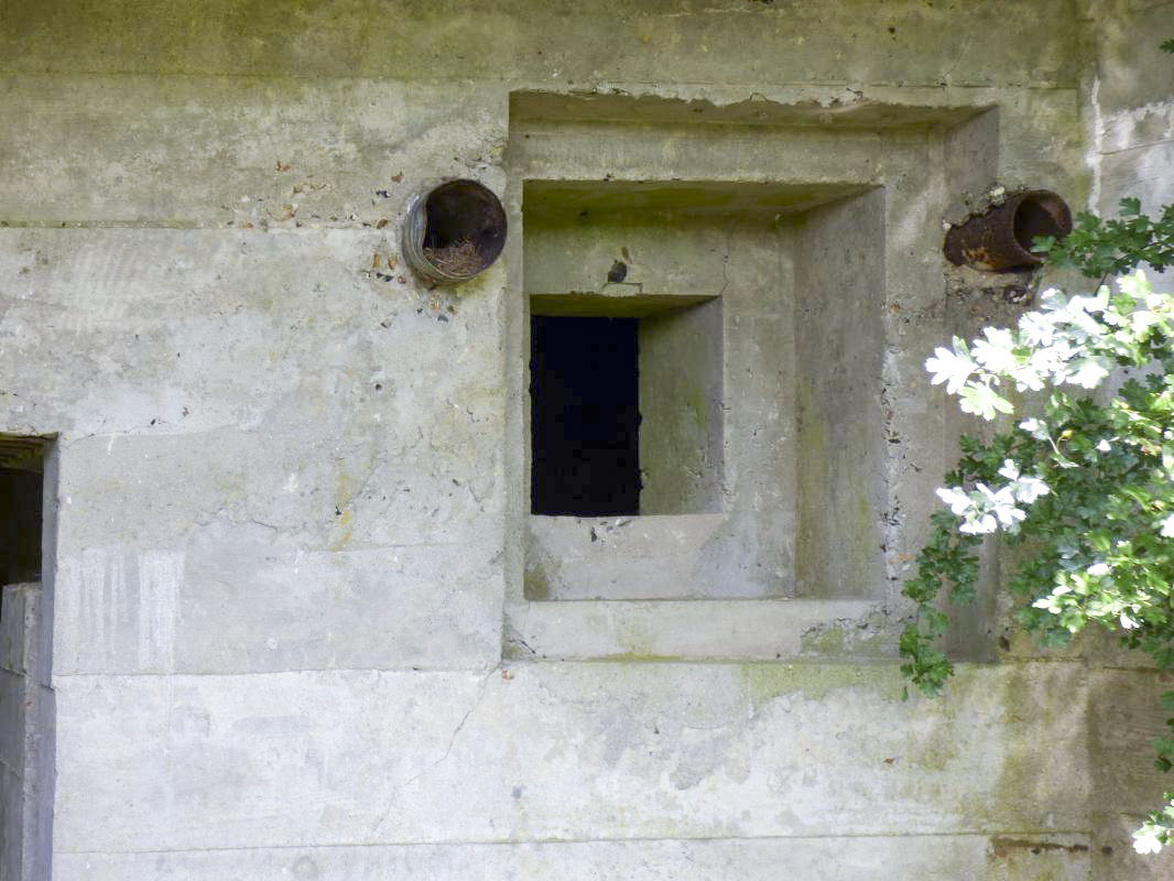 Ligne Maginot - CEZF-18 - LA CASSINE OUEST - (Casemate d'infanterie - double) -  - JMBrams