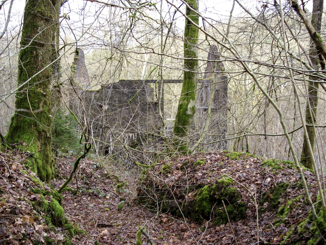 Ligne Maginot - MF11 - N - LA HATRELLE - (Poste GRM - Maison Forte) - Vestige des tranchées vers MF11 - R Tucker