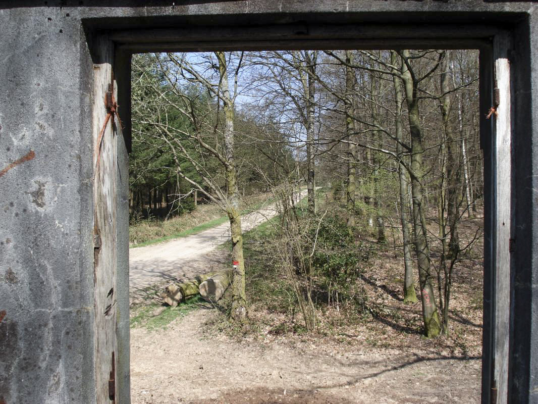 Ligne Maginot - MF14 - Q - BOUCHON DE LA GRENOUILLE - (Poste GRM - Maison Forte) - 1er étage, vue vers le nord - R Tucker