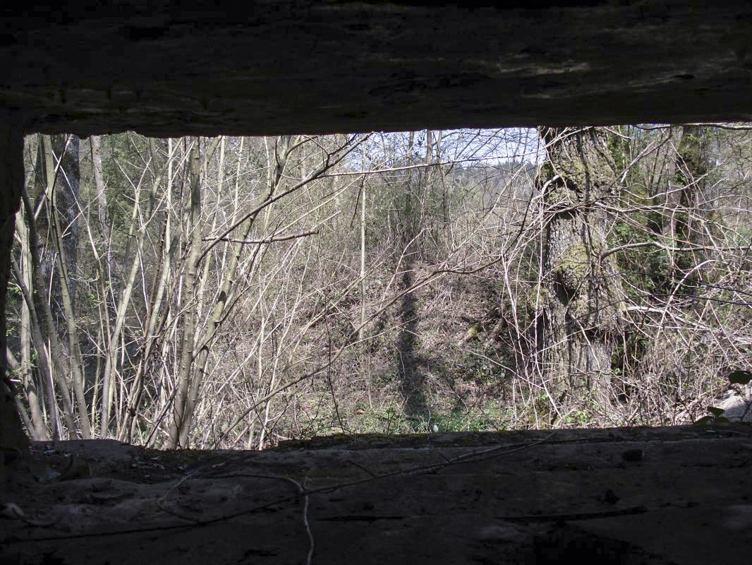Ligne Maginot - MF15 - R - BOUCHON LOUIS VAL - (Poste GRM - Maison Forte) - Vue coté ennemi par le créneau AC - R Tucker
