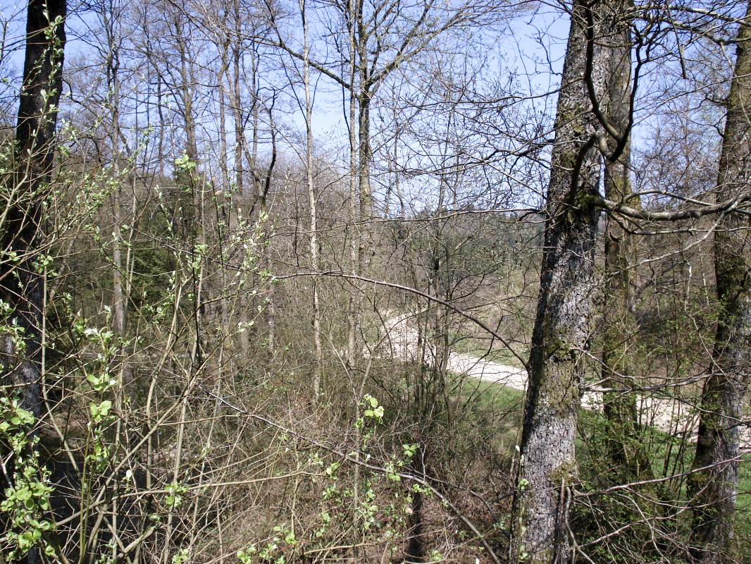 Ligne Maginot - MF15 - R - BOUCHON LOUIS VAL - (Poste GRM - Maison Forte) - Vue vers le nord - R Tucker