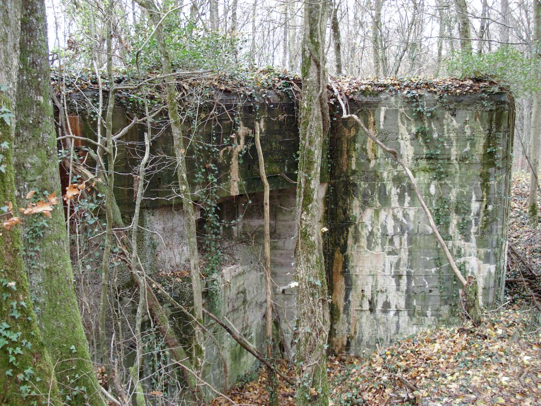 Ligne Maginot - CEZF-33  - LE DEFFOY - (Casemate d'infanterie - double) - Face est - R Tucker