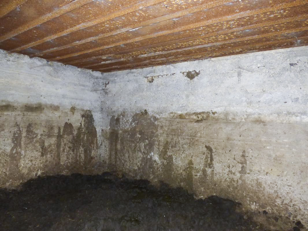 Ligne Maginot - CEZF-40 - FORET DE MANGIENNES - (Casemate d'infanterie) -  - JMBrams