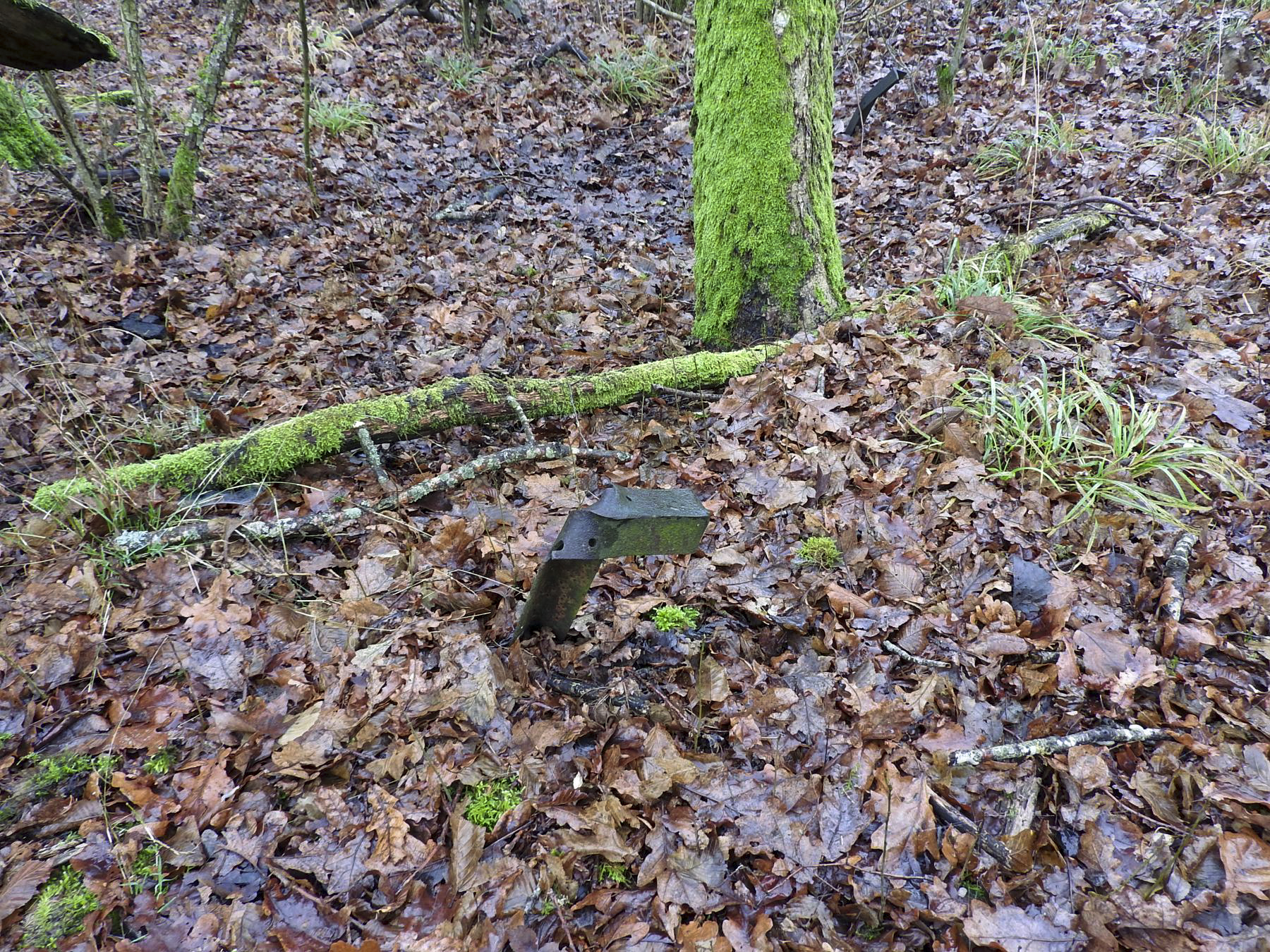 Ligne Maginot - ROHRWALD (CM3 - I/174° RMIF - SOUS-QUARTIER COTE 250) - (PC de Sous-Quartier) - Un support du réseau anti-personnel. - STENGER Mathieu
