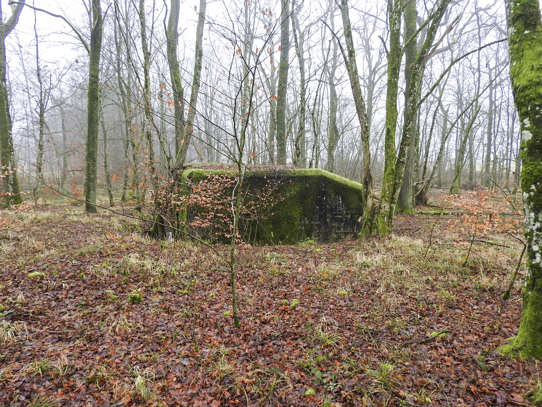 Ligne Maginot - ROHRWALD NORD - (Blockhaus pour arme infanterie) - Le blockhaus pour mitrailleuse. - STENGER Mathieu