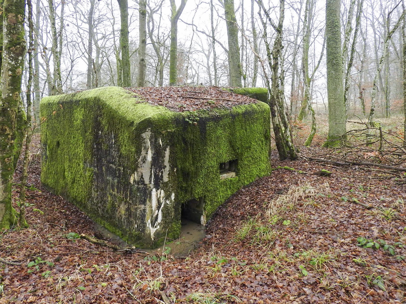 Ligne Maginot - ROHRWALD NORD - (Blockhaus pour arme infanterie) - L'entrée et le créneau FM de défense rapproché. - STENGER Mathieu