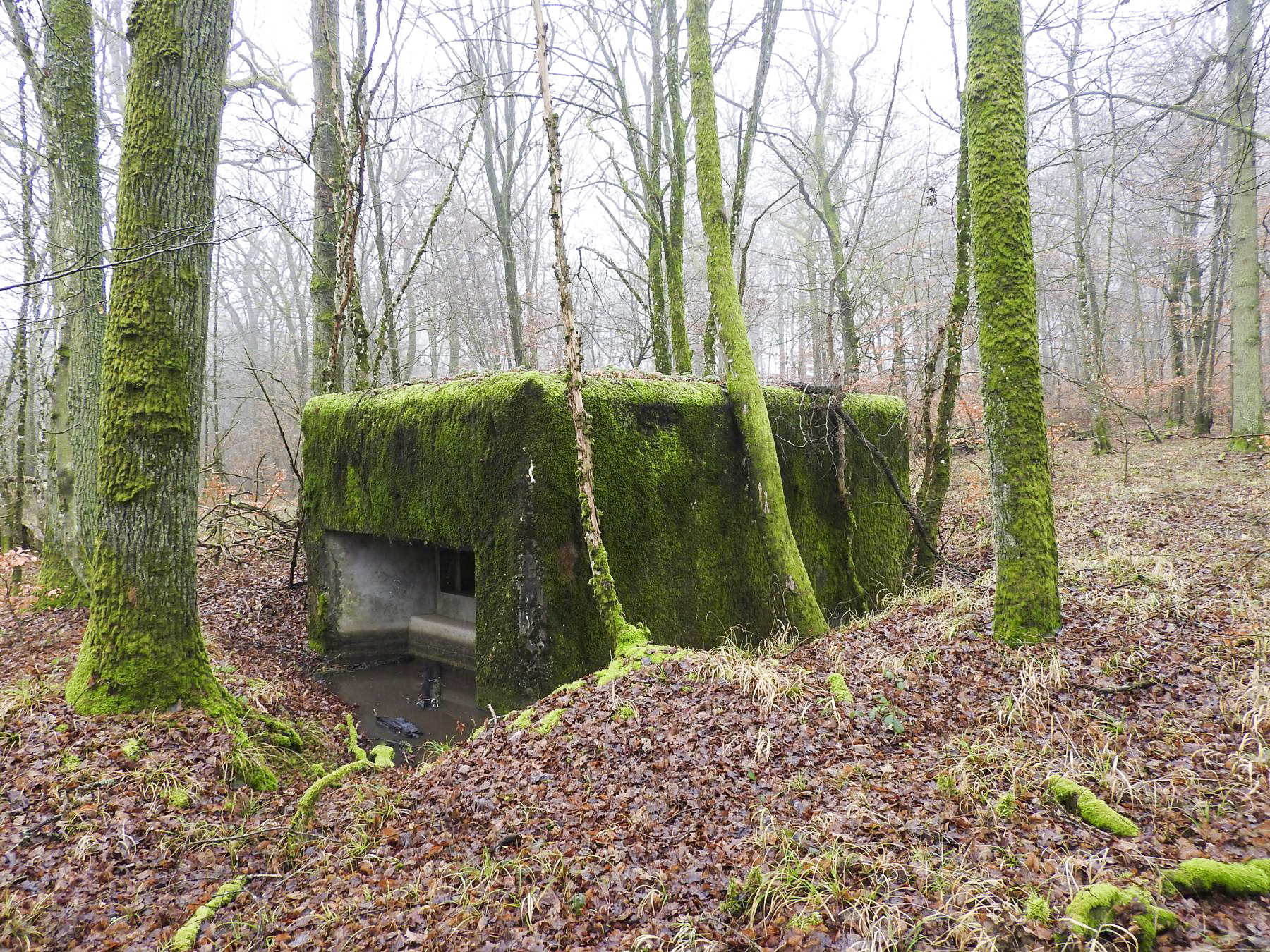 Ligne Maginot - ROHRWALD NORD - (Blockhaus pour arme infanterie) - La façade de tir. - STENGER Mathieu