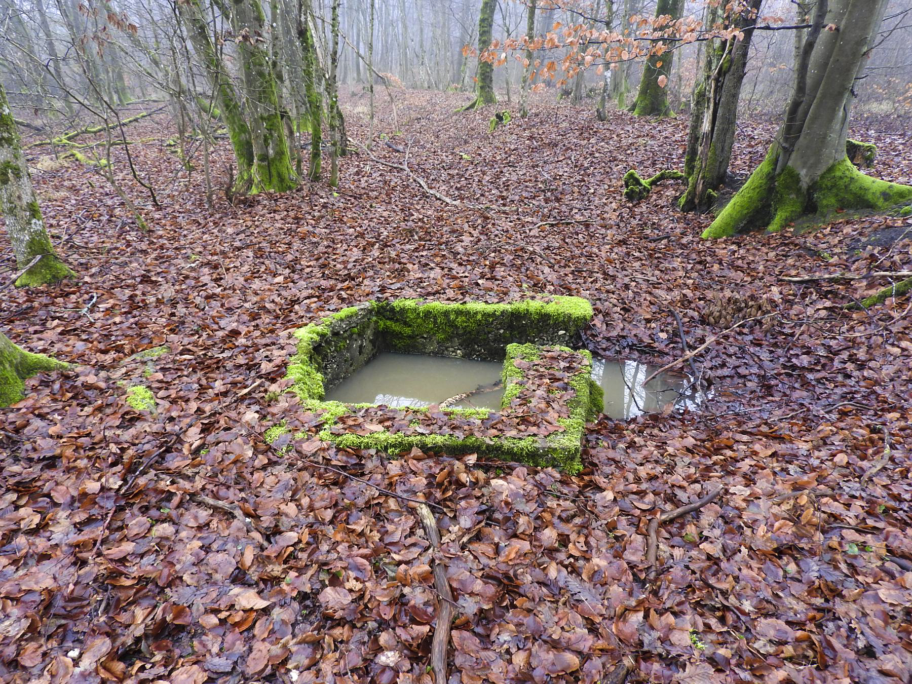 Ligne Maginot - HART OUEST 6 - (Observatoire d'infanterie) - La cuve d'observation. - STENGER Mathieu