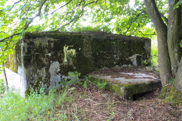 Ligne Maginot - M24B - PUTTELANGE SUD-EST - (Blockhaus pour arme infanterie) - Acces remblayé - Jin Jac