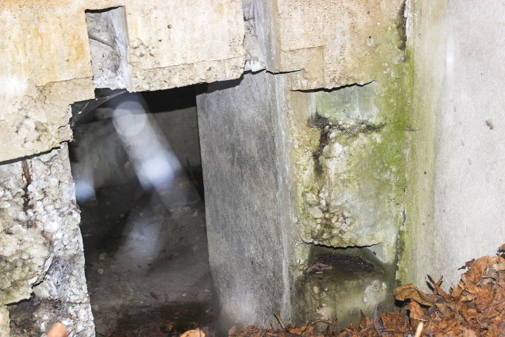 Ligne Maginot - M24B - PUTTELANGE SUD-EST - (Blockhaus pour arme infanterie) - L’entree de la piece principale - Jin Jac