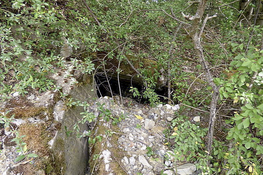 Ligne Maginot - PFAFFENBUSCH 1 - (Observatoire d'infanterie) - Entrée bouchée - Sylvie Laure LAMBERT
