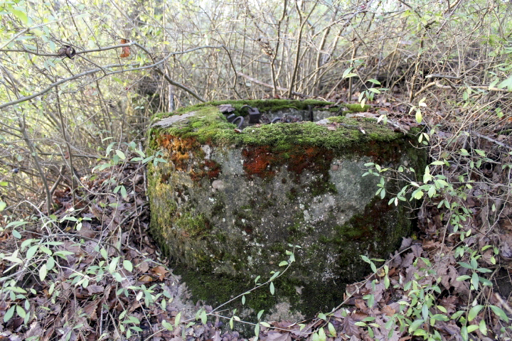 Ligne Maginot - PFAFFENBUSCH 1 - (Observatoire d'infanterie) - Guérite - Christian LENHARD
