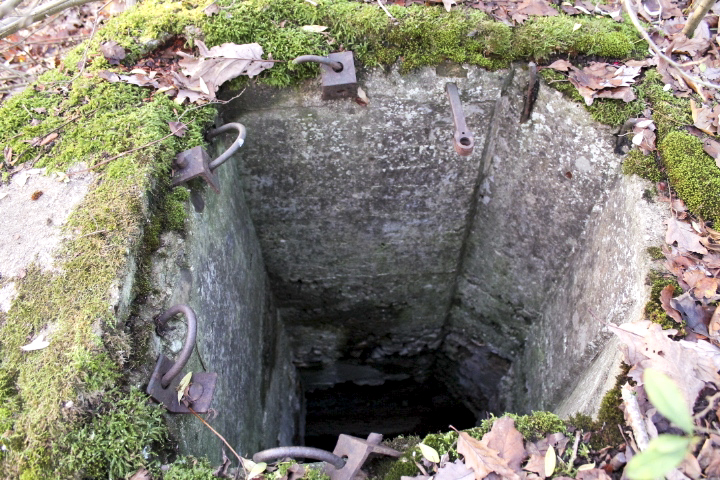Ligne Maginot - PFAFFENBUSCH 1 - (Observatoire d'infanterie) - Guérite - Christian LENHARD