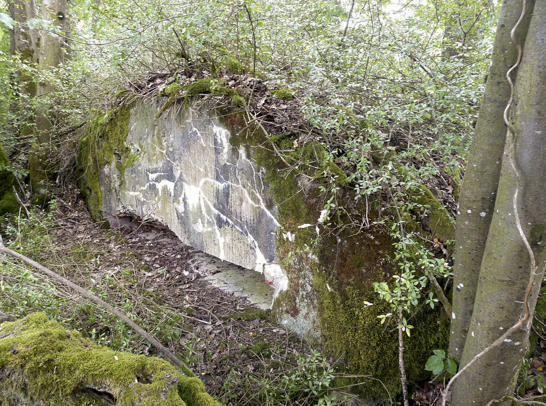 Ligne Maginot - PFAFFENBUSCH 1 - (Observatoire d'infanterie) -  - Sylvie Laure LAMBERT