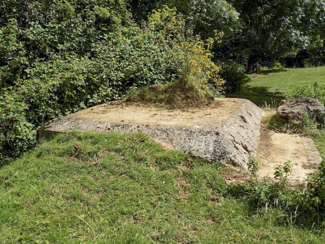 Ligne Maginot - R9 - AILLICOURT - (Blockhaus pour arme infanterie) - Face gauche, nord-ouest - R Tucker