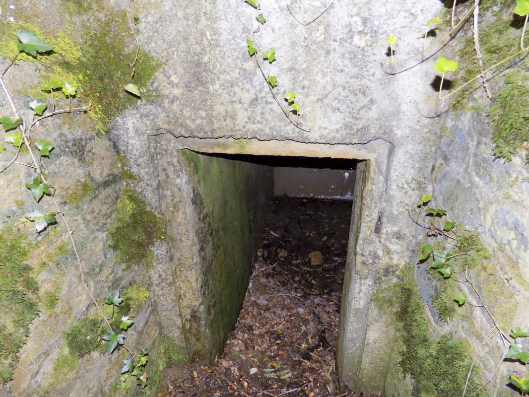 Ligne Maginot - ANGECOURT - (PC de Quartier) - L'entrée gauche - R Tucker