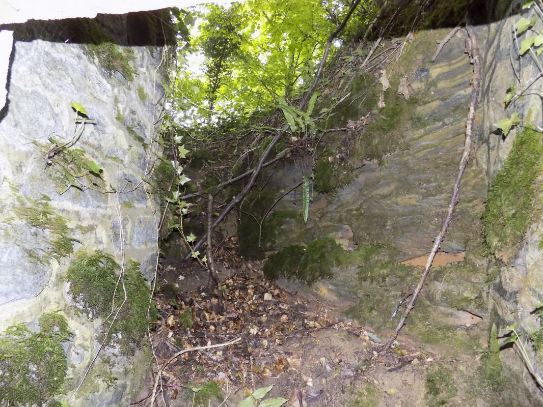 Ligne Maginot - ANGECOURT - (PC de Quartier) - Vue de l'entrée gauche - R Tucker