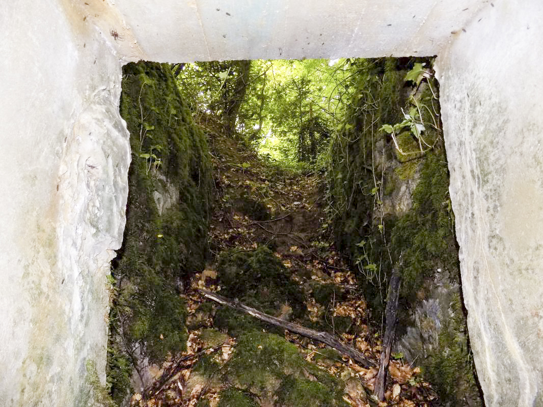 Ligne Maginot - ANGECOURT - (PC de Quartier) - Vue de l'entrée droite - R Tucker