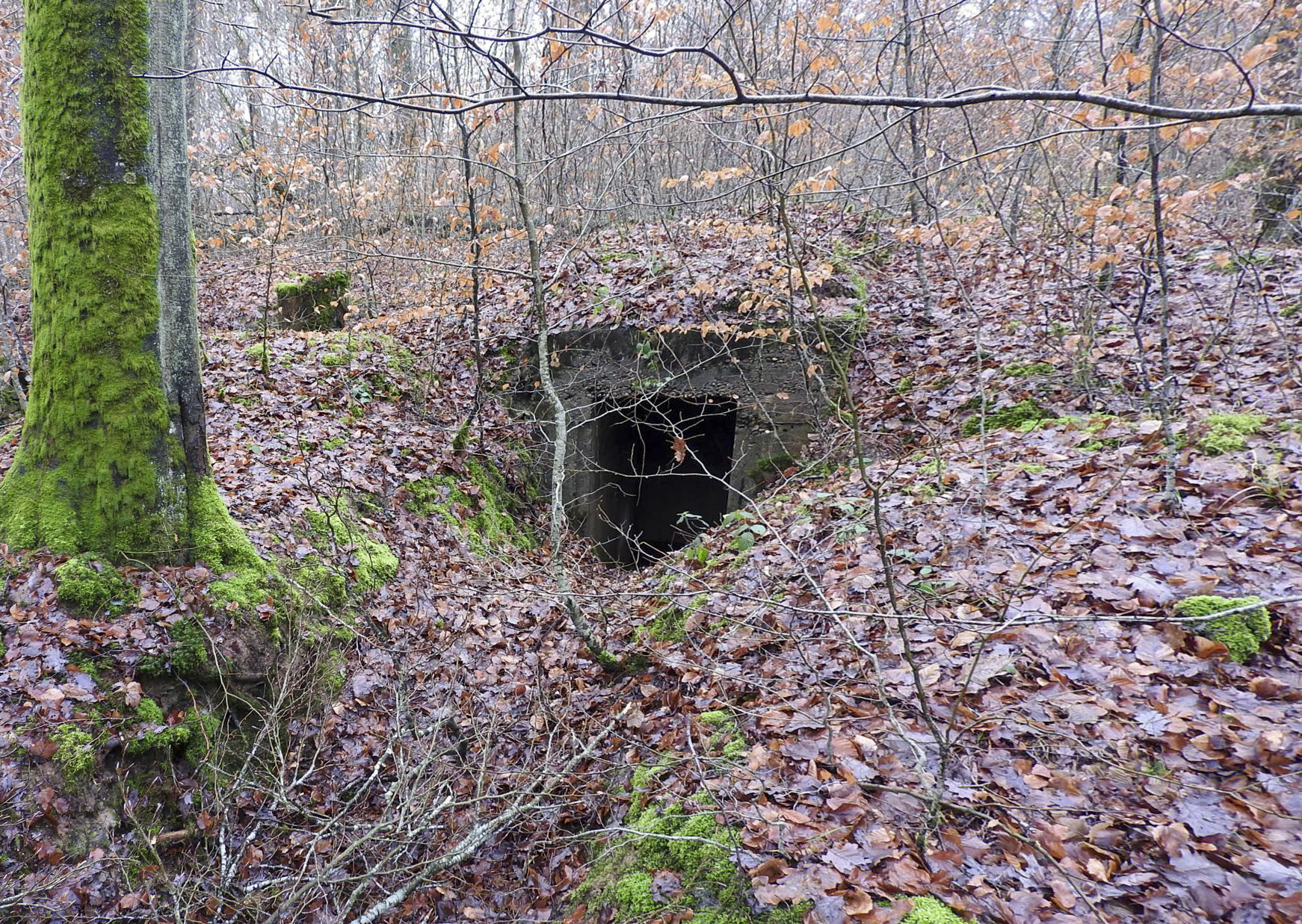 Ligne Maginot - BEWINKEL (I/174° RMIF) - (PC de Quartier) - L'une des entrées du PC. - STENGER Mathieu