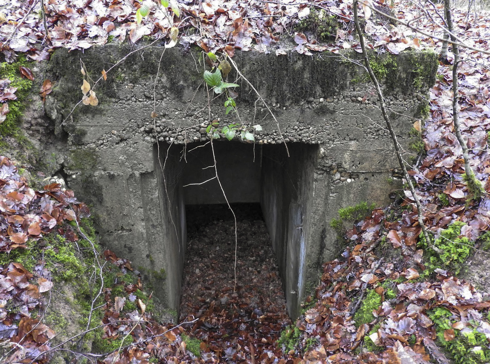 Ligne Maginot - BEWINKEL (I/174° RMIF) - (PC de Quartier) - L'une des entrées du PC. - STENGER Mathieu