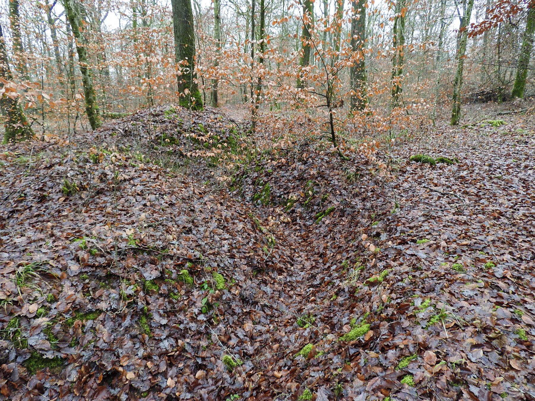 Ligne Maginot - BEWINKEL (I/174° RMIF) - (PC de Quartier) - Le réseau de tranchées près du PC. - STENGER Mathieu