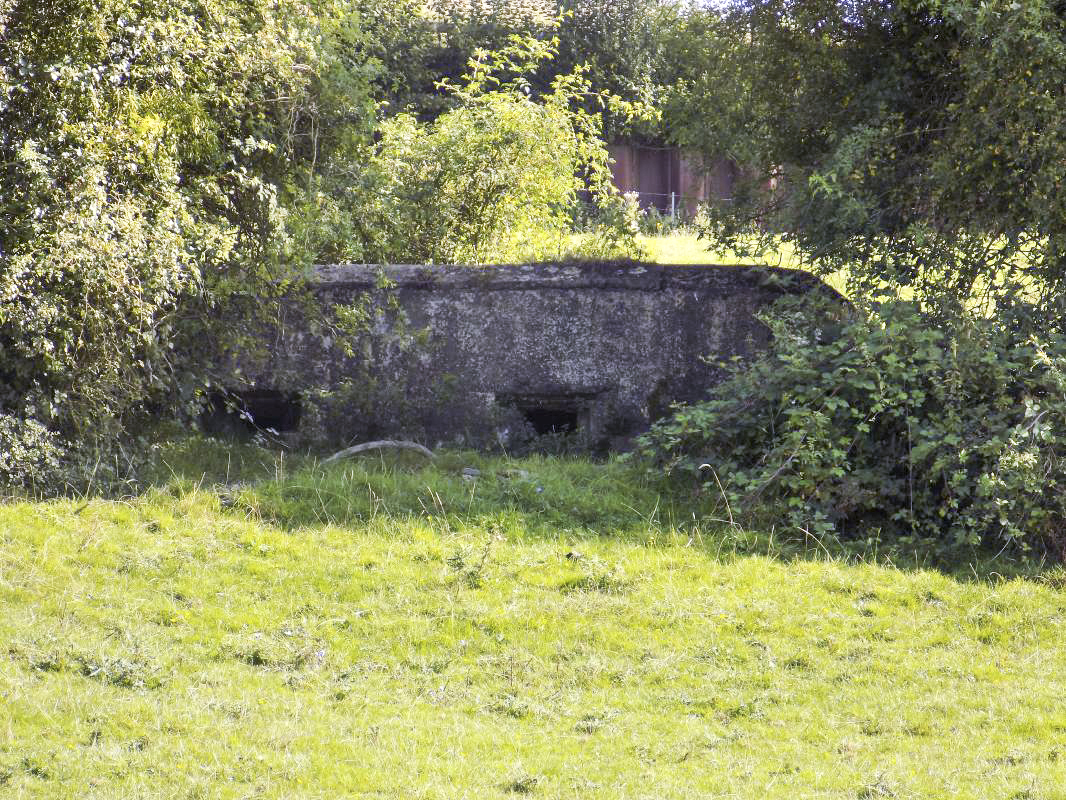 Ligne Maginot - 5 - BELLEVUE SUD - (Blockhaus pour arme infanterie) - Face frontale - R Tucker