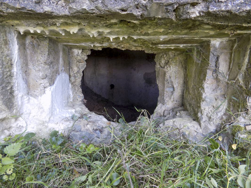 Ligne Maginot - 5 - BELLEVUE SUD - (Blockhaus pour arme infanterie) - Créneau gauche - R Tucker