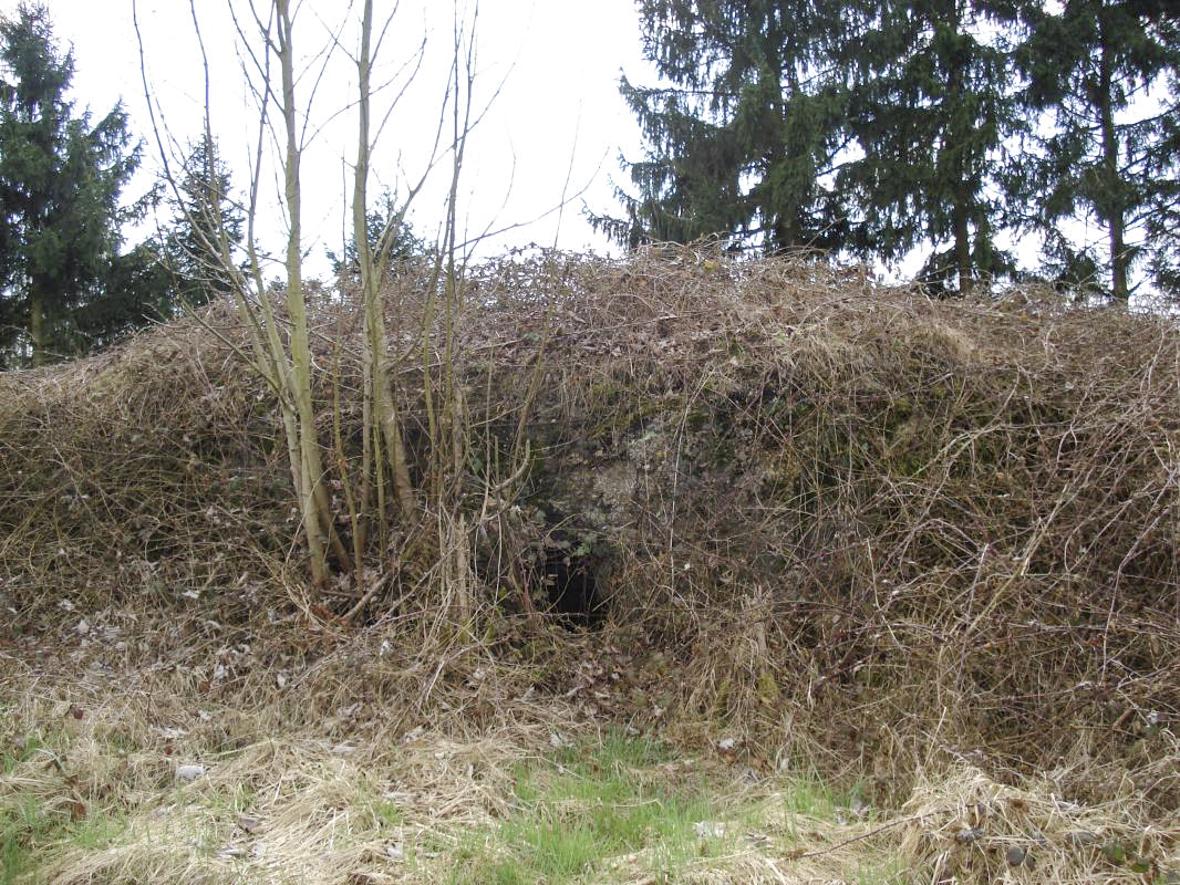 Ligne Maginot - 7BIS - EST DE FRENOIS - (Blockhaus pour canon) - Le créneau central - R Tucker