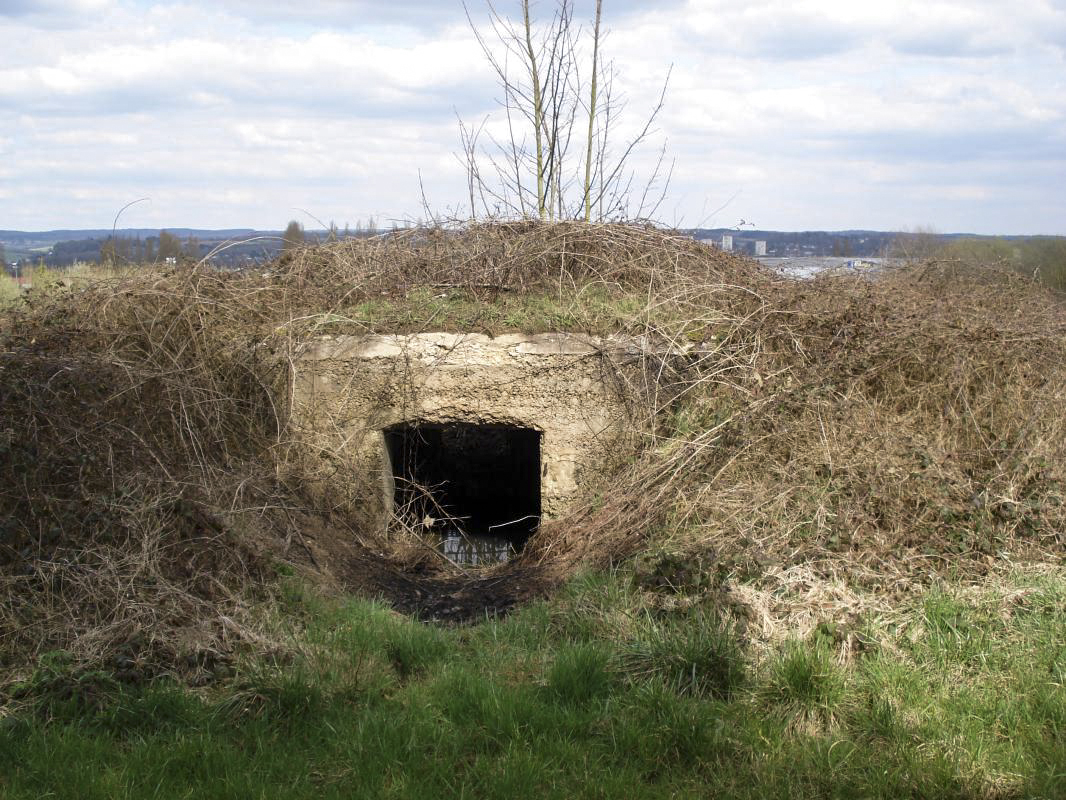 Ligne Maginot - 7BIS - EST DE FRENOIS - (Blockhaus pour canon) - L'entrée, Sedan est visible à l'arrière plan - R Tucker