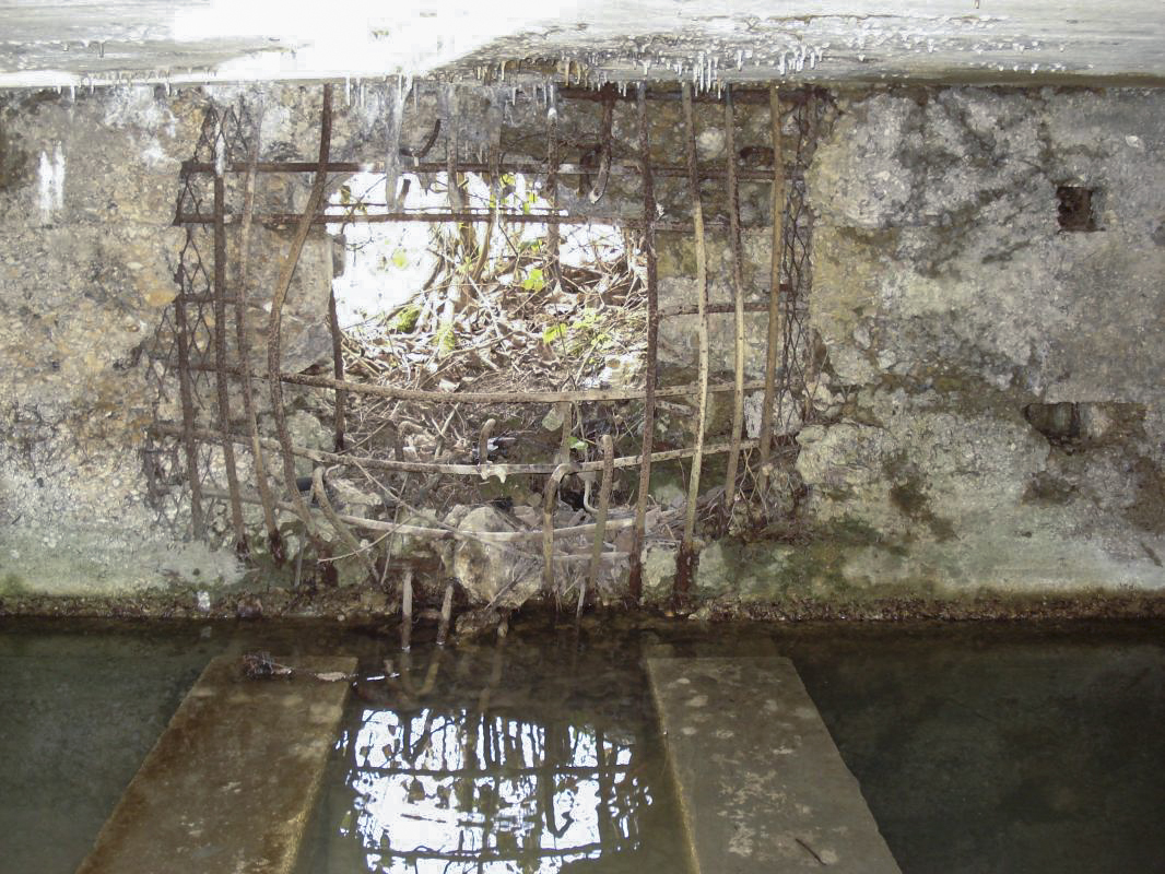 Ligne Maginot - 7BIS - EST DE FRENOIS - (Blockhaus pour canon) - L'interieur, centrale - R Tucker