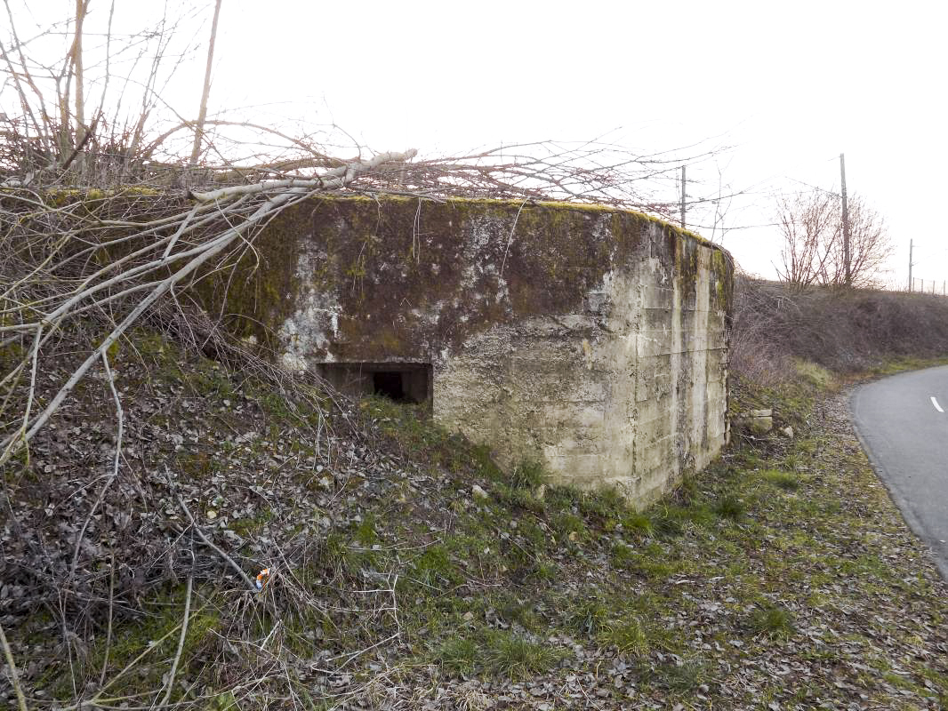 Ligne Maginot - 11 - LE HERON - (Blockhaus pour arme infanterie) - Face sud-est - R Tucker