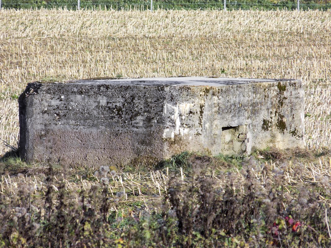 Ligne Maginot - 12 - LE PRE DE MEUSE - (Blockhaus pour arme infanterie) -  - R Tucker