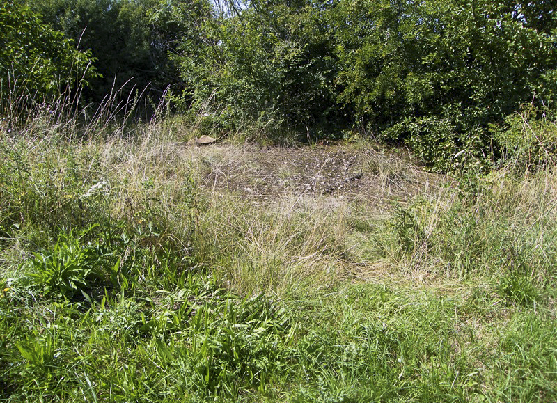 Ligne Maginot - 105 - PEPINIERE CREPLET - (Blockhaus lourd type STG / STG-FCR - Double) - Vue du radier du blockhaus - © Jean-Louis AUBLET & Sylvie MAINGUIN