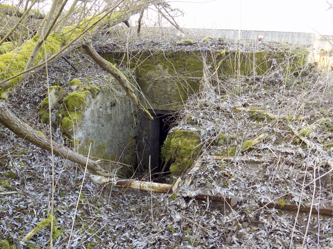 Ligne Maginot - 14 - PRE AUX PIERRES NORD - (Blockhaus pour arme infanterie) - L'entrée - R Tucker