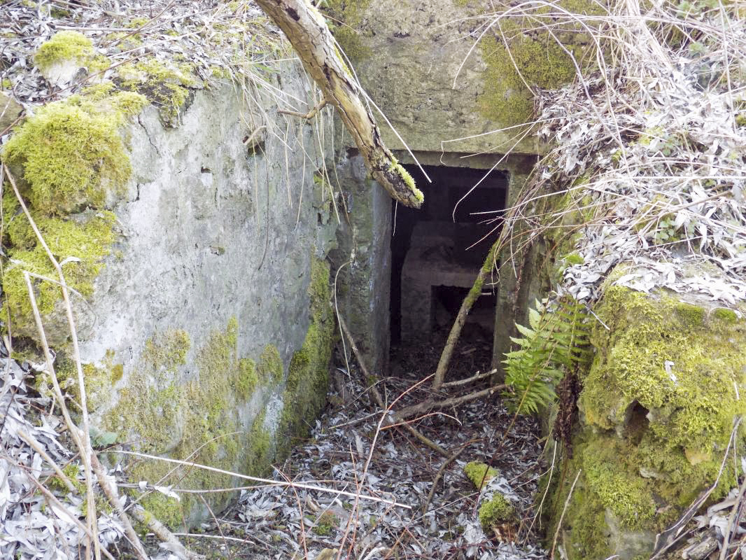 Ligne Maginot - 14 - PRE AUX PIERRES NORD - (Blockhaus pour arme infanterie) - L'entrée - R Tucker